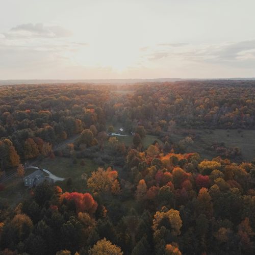 Aerial view of a landscape with dense autumn foliage and a sunset, showing scattered buildings among the trees under a cloudy sky.