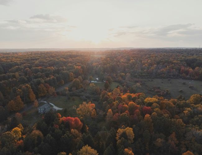 Aerial view of a landscape with dense autumn foliage and a sunset, showing scattered buildings among the trees under a cloudy sky.