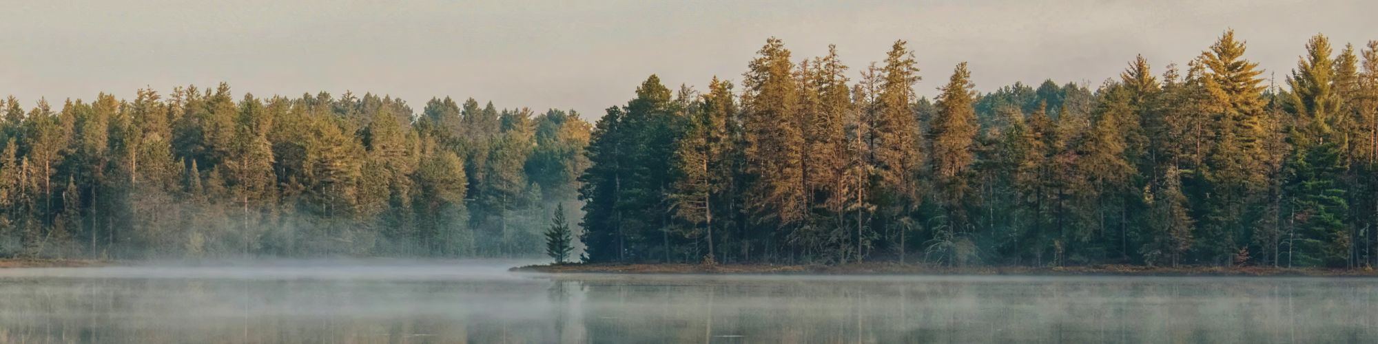 A serene landscape featuring a calm lake with a reflection of a forested treeline and a misty atmosphere under a soft sky.
